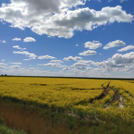 Apartmán Suederdeich Koldenbuttel Exteriér fotografie